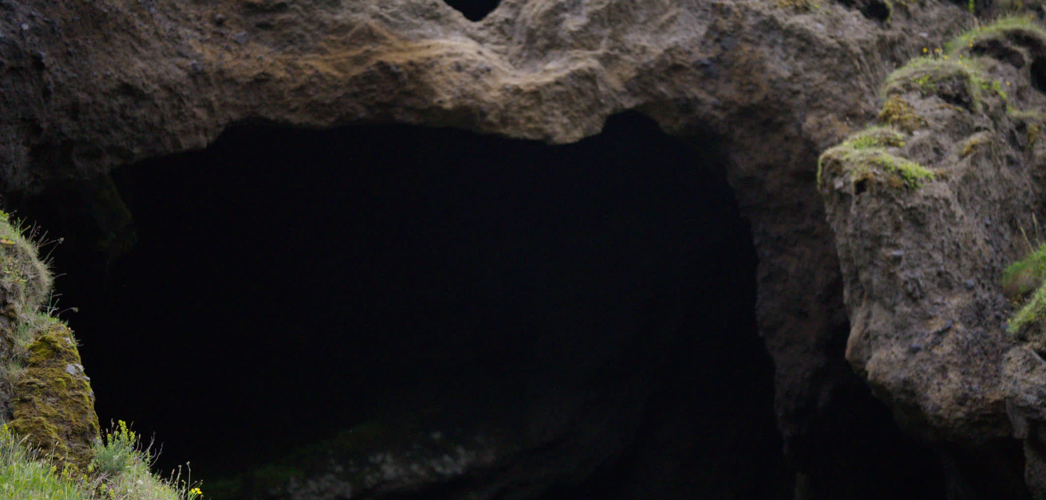 A dragon roaring at a cave mouth: plate stage